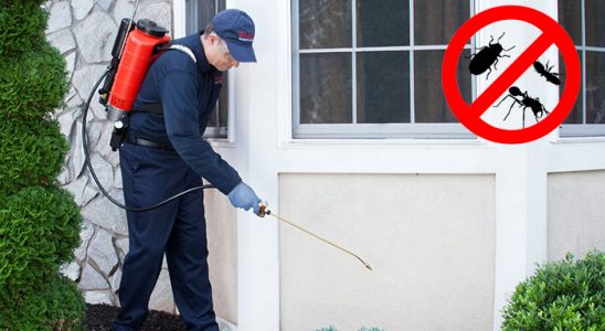 Yayladere Böcek ve Haşere İlaçlama böcek ilaçlama ve haşere kontrolü — ilaclama-tr.com